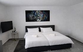 Exklusive Moderne Wohnung Hanau